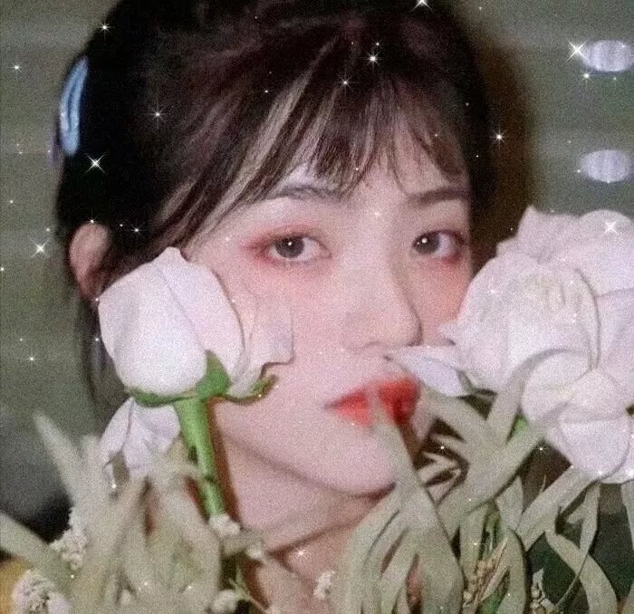 象限之眼